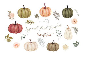 Modern Sage Peach Pumpkin Clipart