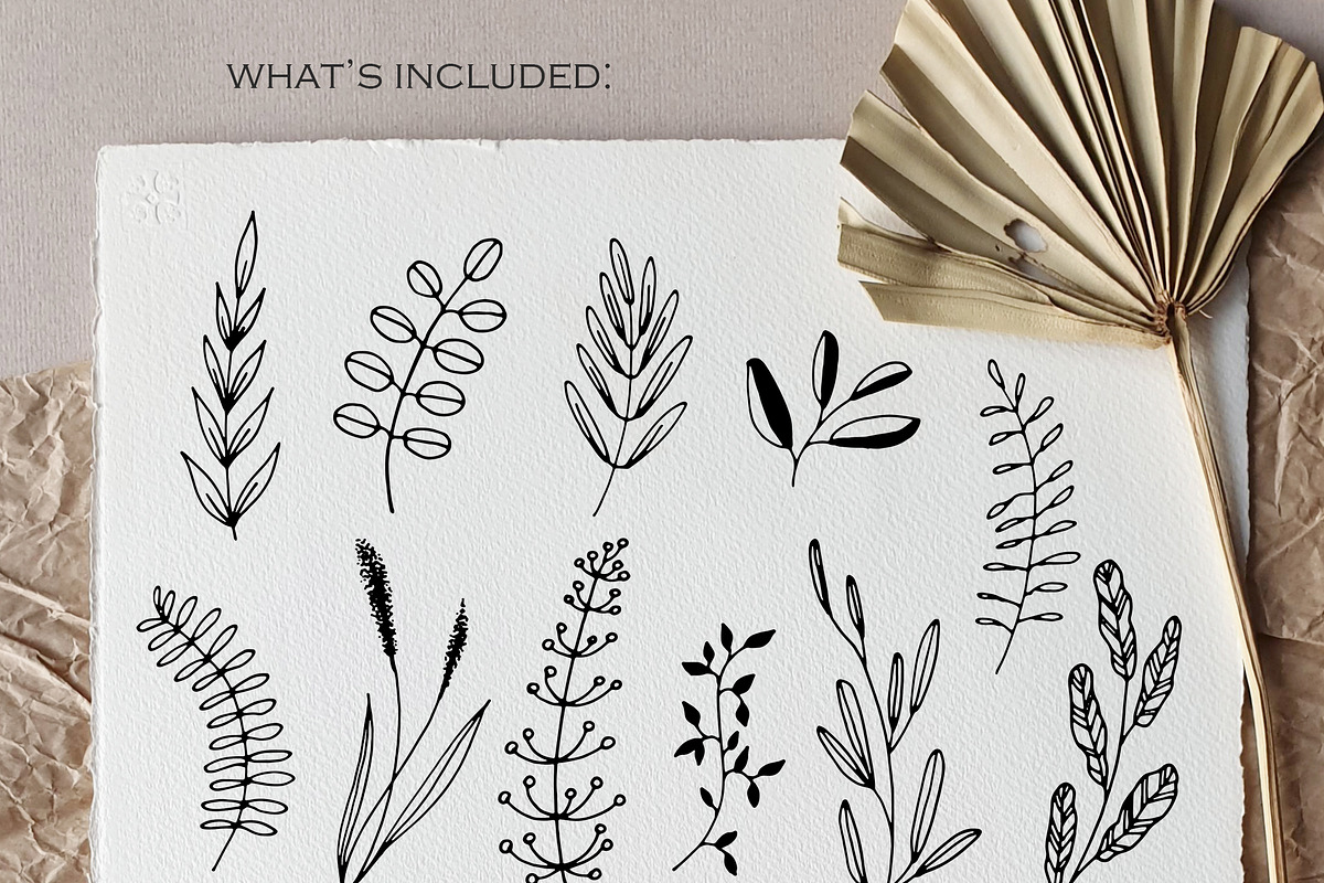 51 Line Art Botanical Illustrations, a Decorative Illustration by ...