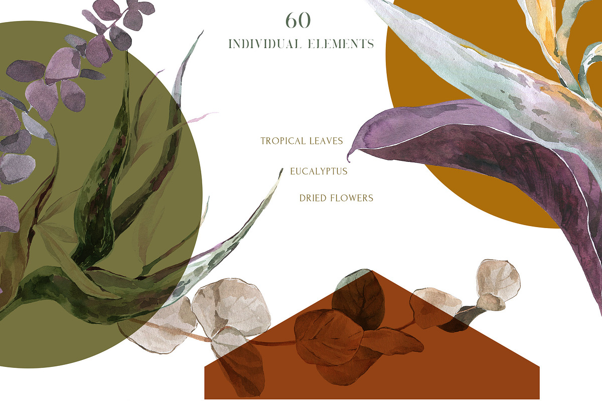 Tropical Jungle Floral Watercolor, an Illustration by Cat In Colour (Photo 3 of 8)