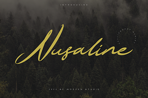 Nusaline | Calligraphy Script