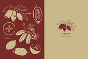 It's Autumn - fruits and foliage, a Seasonal Illustration by Annakniaz (Thumbnail 5 of 15)