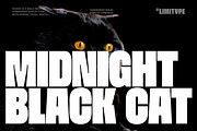 Moara - Bold Condensed Font, a Sans Serif Font by limitype (Thumbnail 3 of 13)