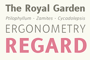 Alfabetica, a Sans Serif Font by Eurotypo (Thumbnail 2 of 5)