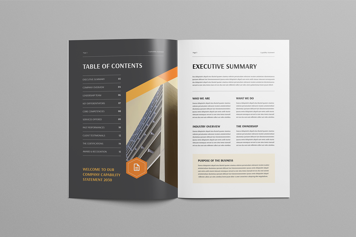 Capability Statement Brochure, a Brochure Template by Leaflove