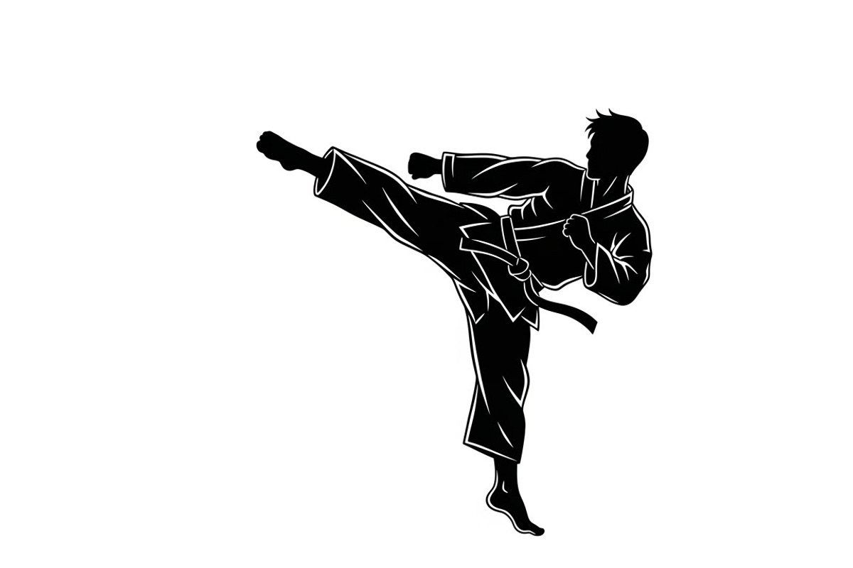 Dynamic martial arts kick silhouette, a Graphic by Amazin_art (Photo 9 of 36)