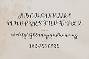 Siollars | Handwritten Script Font, a Script Font by Denustudios (Thumbnail 10 of 12)