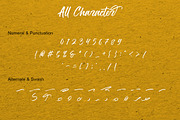 The Hamburg Script Font, a Script Font by Youthlabs Studio (Thumbnail 12 of 19)
