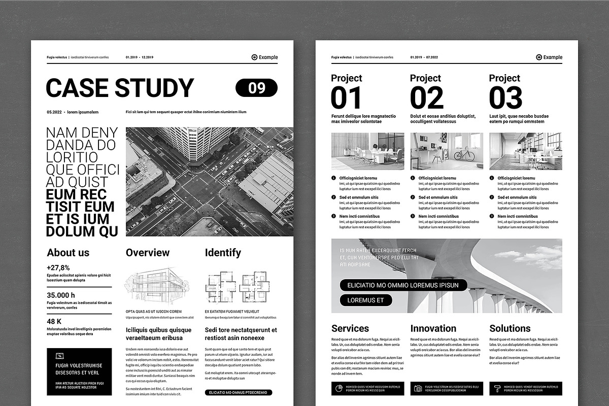 Case Study 3 | Corporate Flyer, a Flyer Template by TypoEdition (Photo 2 of 2)