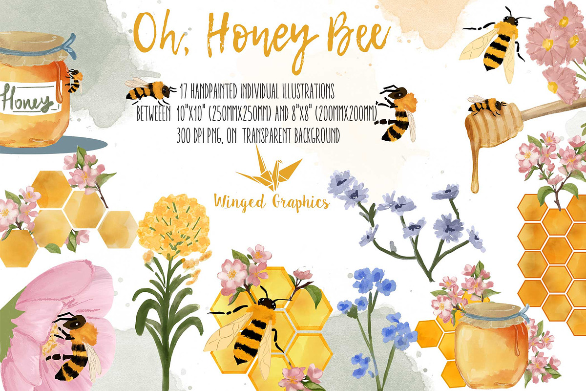 Oh, Honey bee set of 17illustrations, an Animal Illustration by Winged Graphics (Photo 1 of 4)
