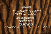 Castrolina Font, a Script Font by ponuppo (Thumbnail 4 of 4)