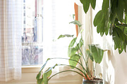Holistic Lifestyle Bundle (Green), a Health & Medical Photo by Wellness Stock Market (Thumbnail 20 of 37)