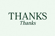 Gardmun Kinsley Modern Serif Font, a Serif Font by Letterena Studios (Thumbnail 15 of 15)