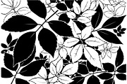 Botanical Leaf Silhouette, an Object Graphic by Creativeshirt (Thumbnail 9 of 19)