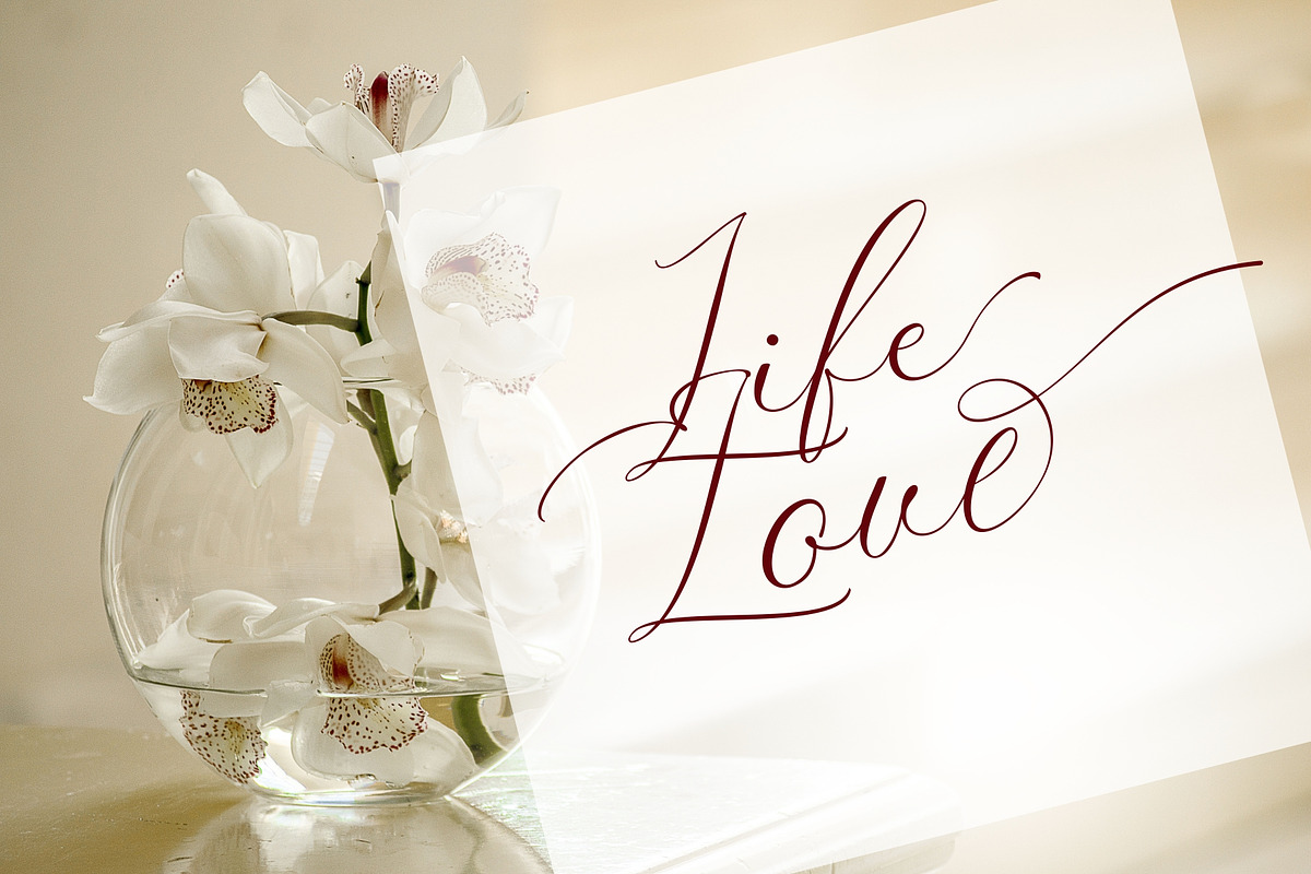 Zially, a Script Font by Fontdroe (Photo 8 of 10)