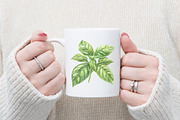 Green Summer Foliage Clipart, an Illustration by Watercolor design (Thumbnail 7 of 10)