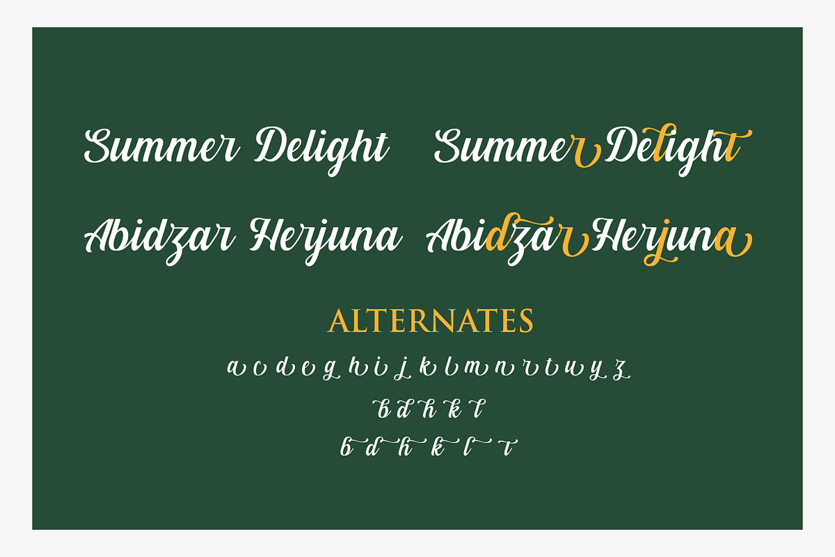 Summer Delight Font, a Script Font by R4DS (Photo 3 of 9)
