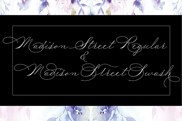 Madison Street Regular & Swash preview 7