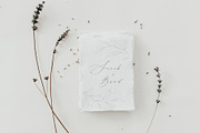 Botanical leaves - sketched florals, a Decorative Illustration by Madiwaso (Thumbnail 14 of 14)