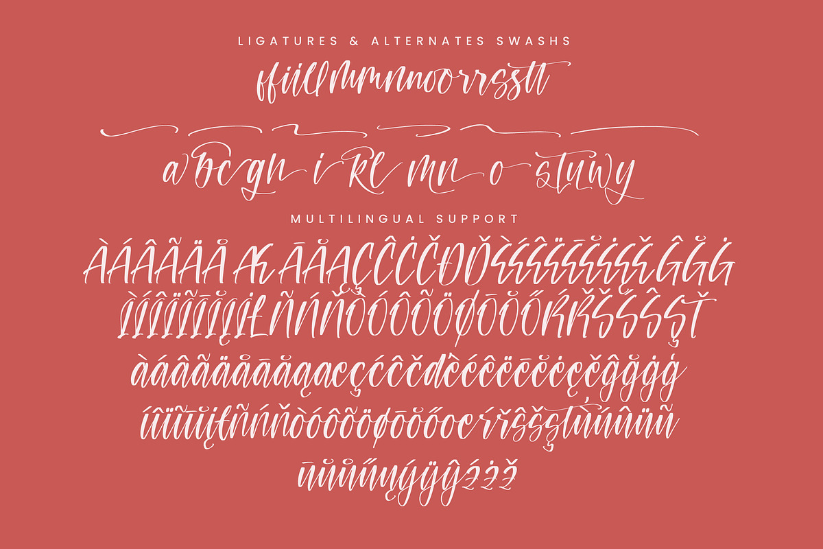 Teracota Strokes, a Script Font by Integritype Studio (Photo 14 of 15)