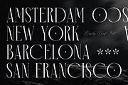 Meorgine Display Serif Font, a Serif Font by Storytype Studio (Thumbnail 5 of 15)