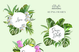 Tropical Orchids Flower Set