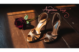 Elegant tango shoes and a red rose, an Illustration by tilialucida