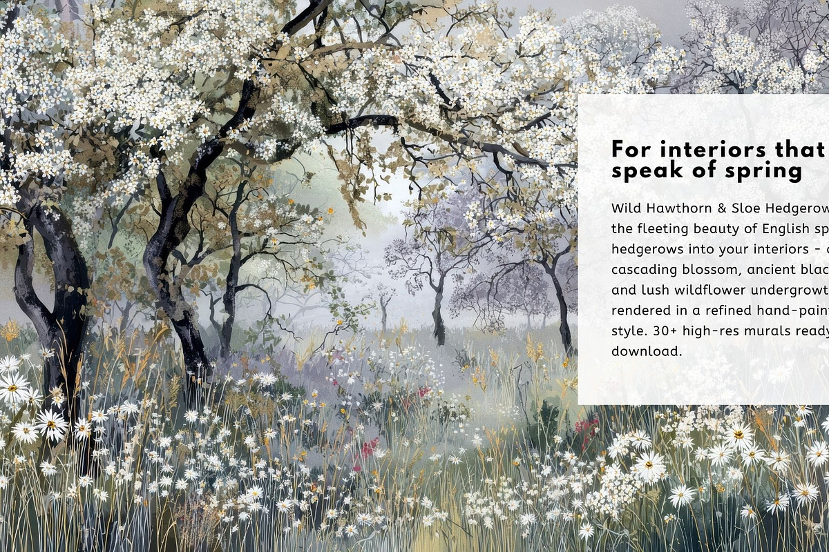 30+ Wild Hawthorn & Sloe Hedgerows, a Decorative Illustration by Virgo Studio (Photo 2 of 6)