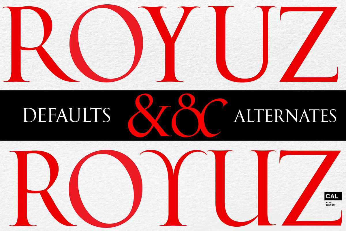 Cresci Exemplar Pro, a Serif Font by California Type Foundry (Photo 6 of 9)