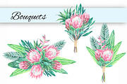 King protea. Watercolor clip art., an Illustration by Anyuka (Thumbnail 3 of 4)