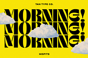 TAN - MISFITS, a Font by TanType (Thumbnail 2 of 15)