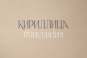 Malinger - Elegant Serif Font, a Serif Font by VP Fonts (Thumbnail 19 of 20)