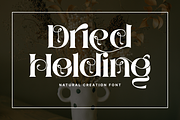 Natural Creation - Decorative Font, a Serif Font by 177Studio (Thumbnail 8 of 8)