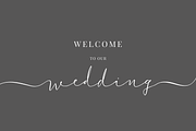 (44 fonts) Xanas Wedding Font Family, a Script Font by vectalex (Thumbnail 3 of 8)