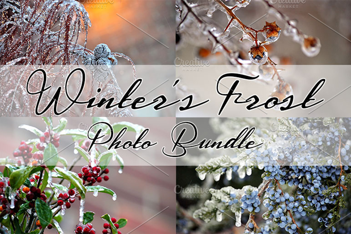 WINTERS FROST PHOTO BUNDLE, a Nature Photo by KABSPHOTOGRAPHY (Photo 1 of 8)