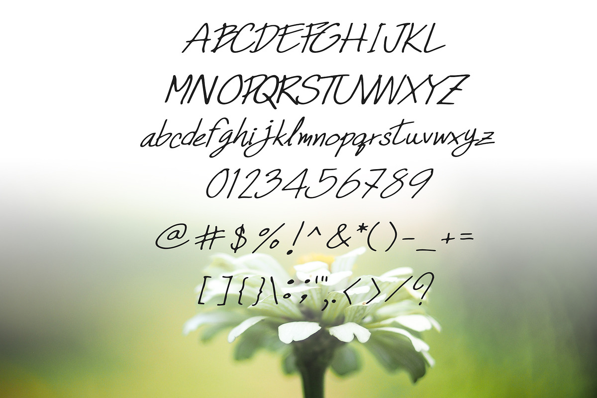 Astar Handwritten Fonts preview 3