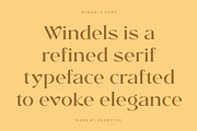Windels - Elegant Serif Logo Font, a Serif Font by Pekotype (Thumbnail 2 of 15)