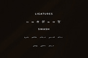 Mosqatte Hosller, a Script Font by Integritype Studio (Thumbnail 11 of 15)