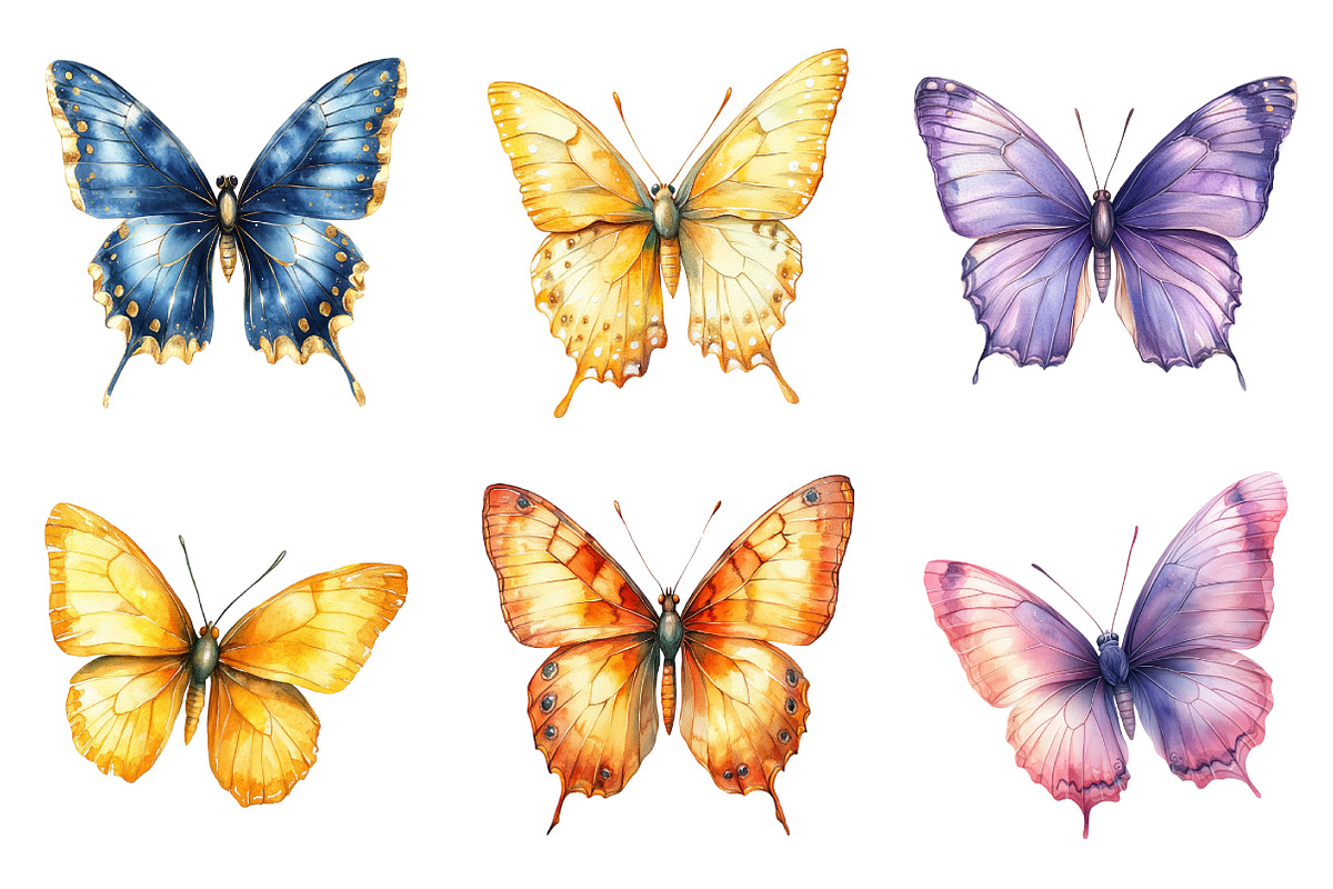 Watercolor Cute Butterfly Clipart, an Illustration by SinaCreation (Photo 5 of 5)
