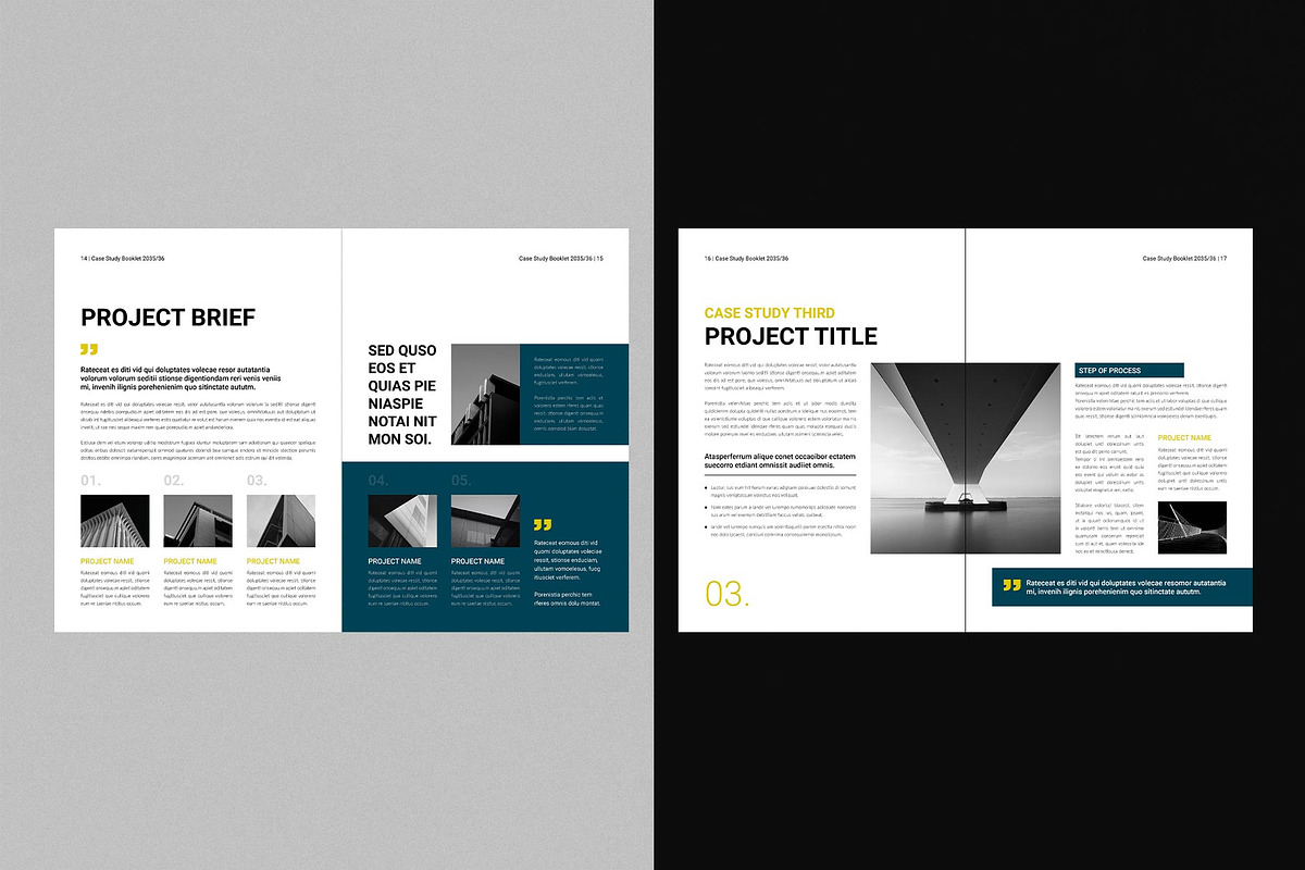 Case Study Booklet Template, a Brochure Template by DesignCrest (Photo 5 of 12)
