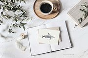 Watercolor Sharks. Ocean animals set, an Animal Illustration by Diana Askarova Art (Thumbnail 6 of 9)