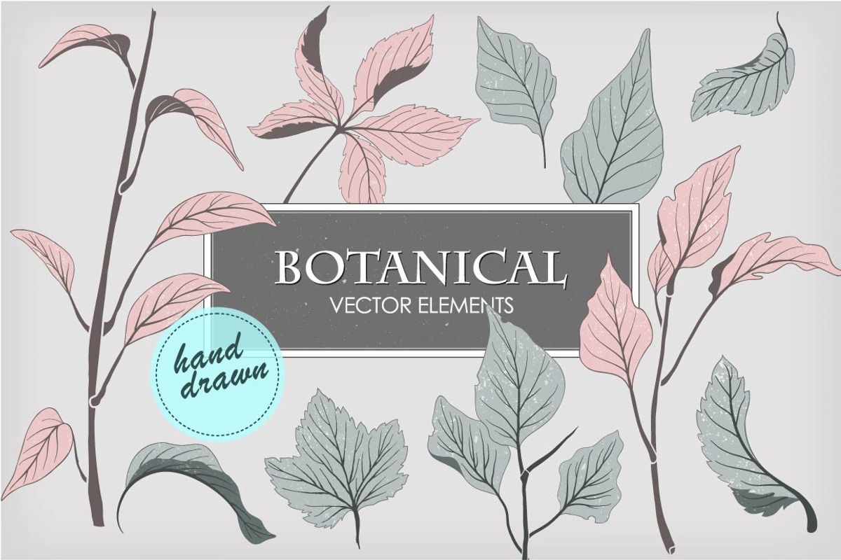 Botanical vector elements, an Object Graphic by Solana (Photo 1 of 3)