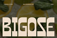 Bigose - 3 Bold Branding Font
