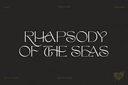 TAN - The Whistling, a Serif Font by TanType (Thumbnail 32 of 35)