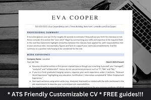 Functional Skills Based CV Template