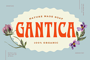 Amegrin - Vintage Display Font, a Serif Font by Sronstudio (Thumbnail 11 of 13)