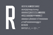 Hospital (Regular & Bold), a Sans Serif Font by ANDR35 (Thumbnail 4 of 8)
