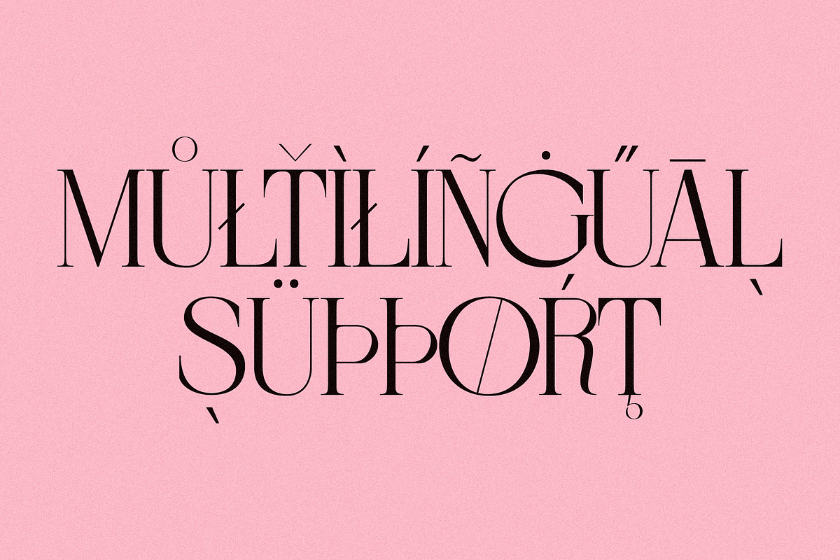 BERBERIS - Display Unique Serif, a Serif Font by Misha Sova (Photo 10 of 14)