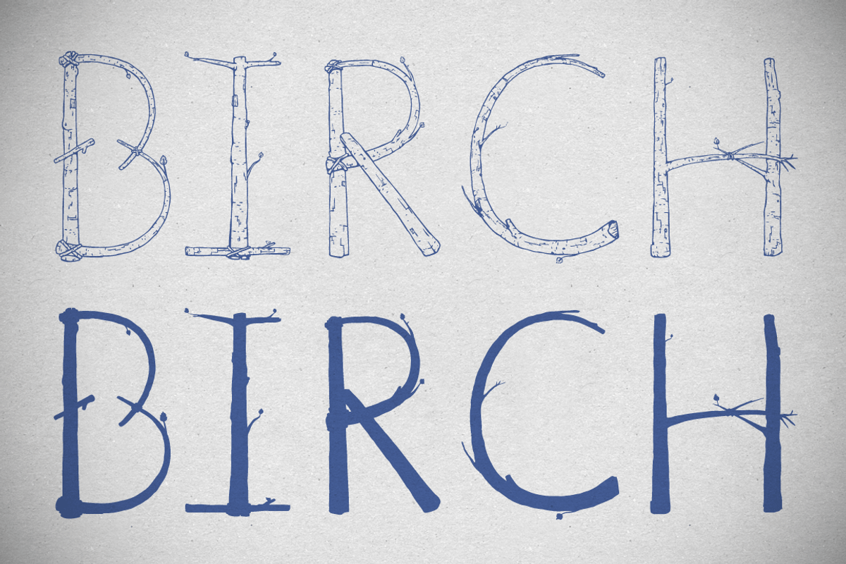 Birch Is Right Here - COMBO preview 8