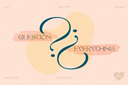 TAN - The Whistling, a Serif Font by TanType (Thumbnail 17 of 35)