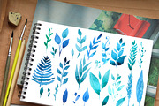 Watercolor Herbs and leaves, an Illustration by Olesya Morokhovets (Thumbnail 4 of 4)